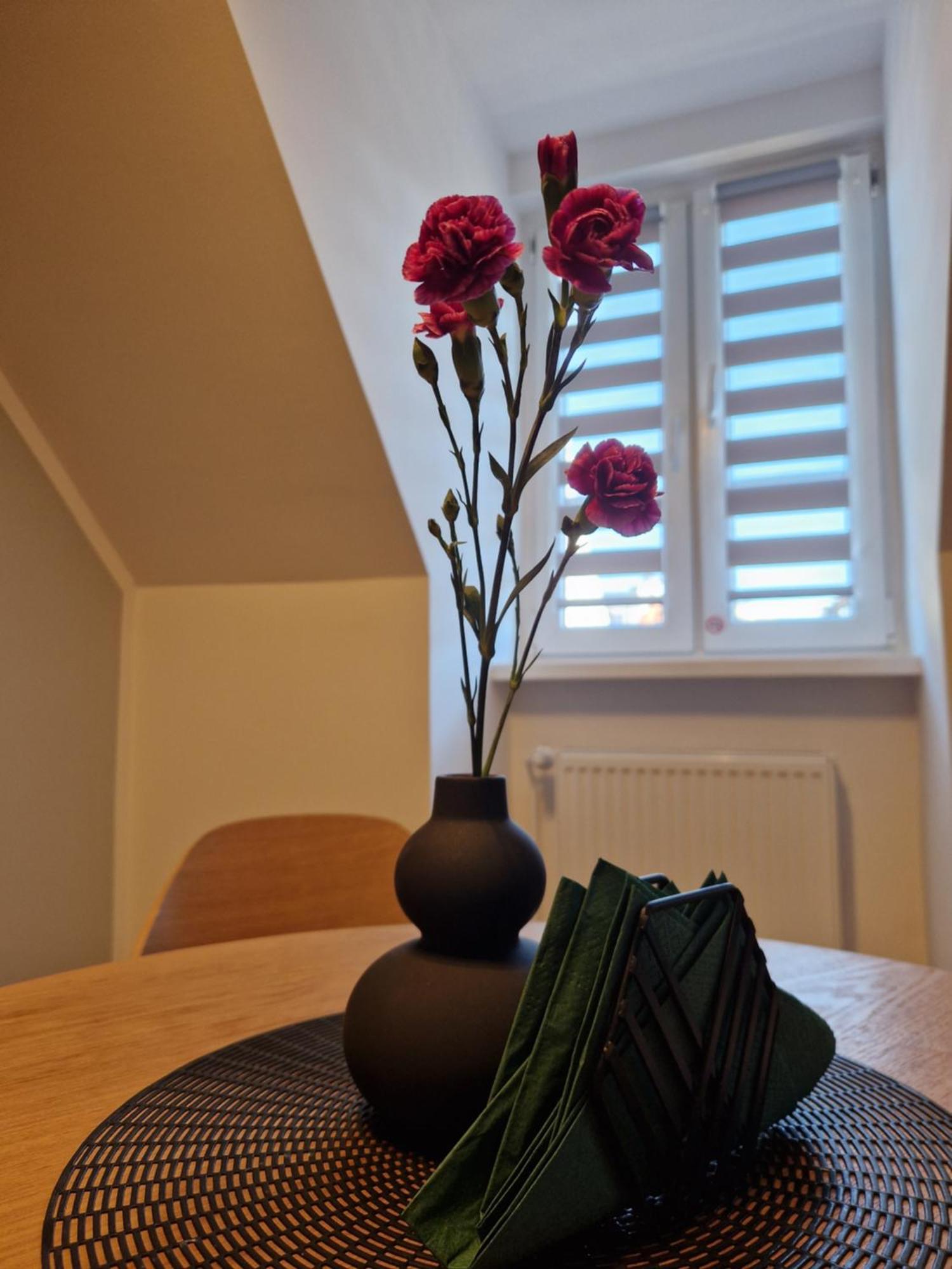 Apartament Rabianska 14 Torun Luaran gambar